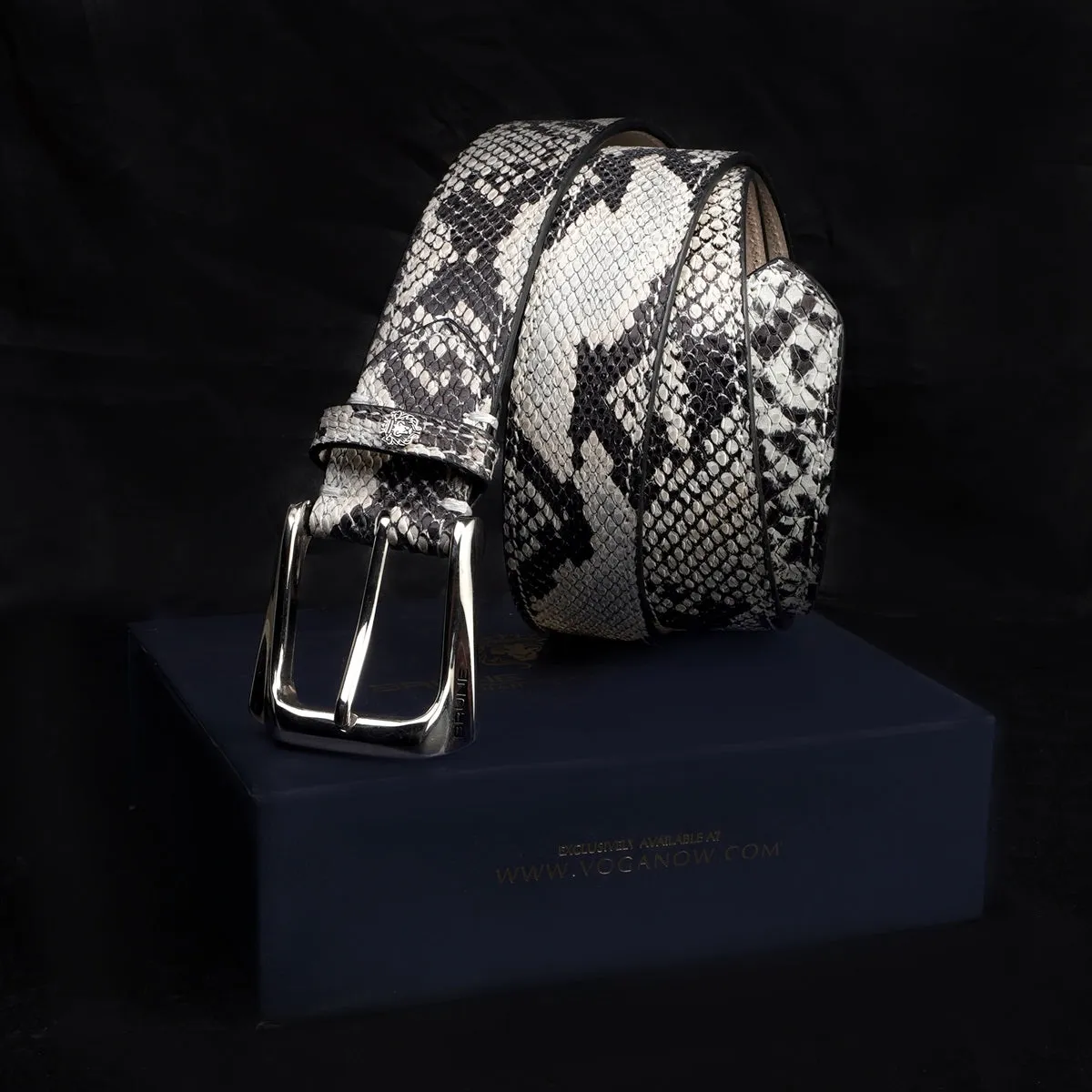 Black-White Belt in Snake Print Leather with Silver Finish Buckle Closure