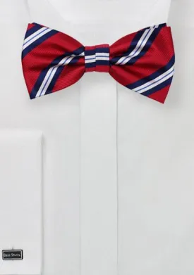 Preppy Red and Blue Repp&Regimental Striped Bowtie