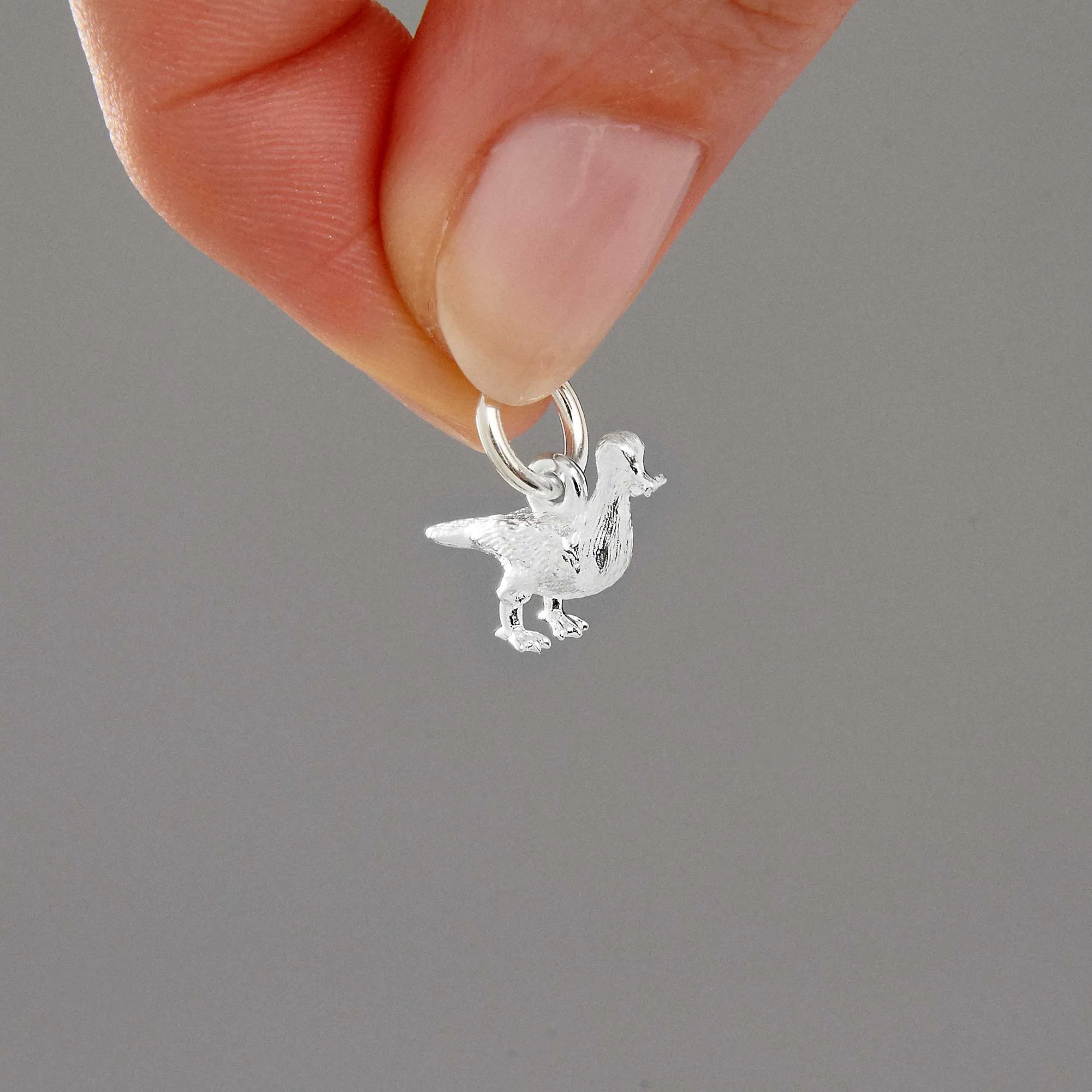 Seagull Silver Charm